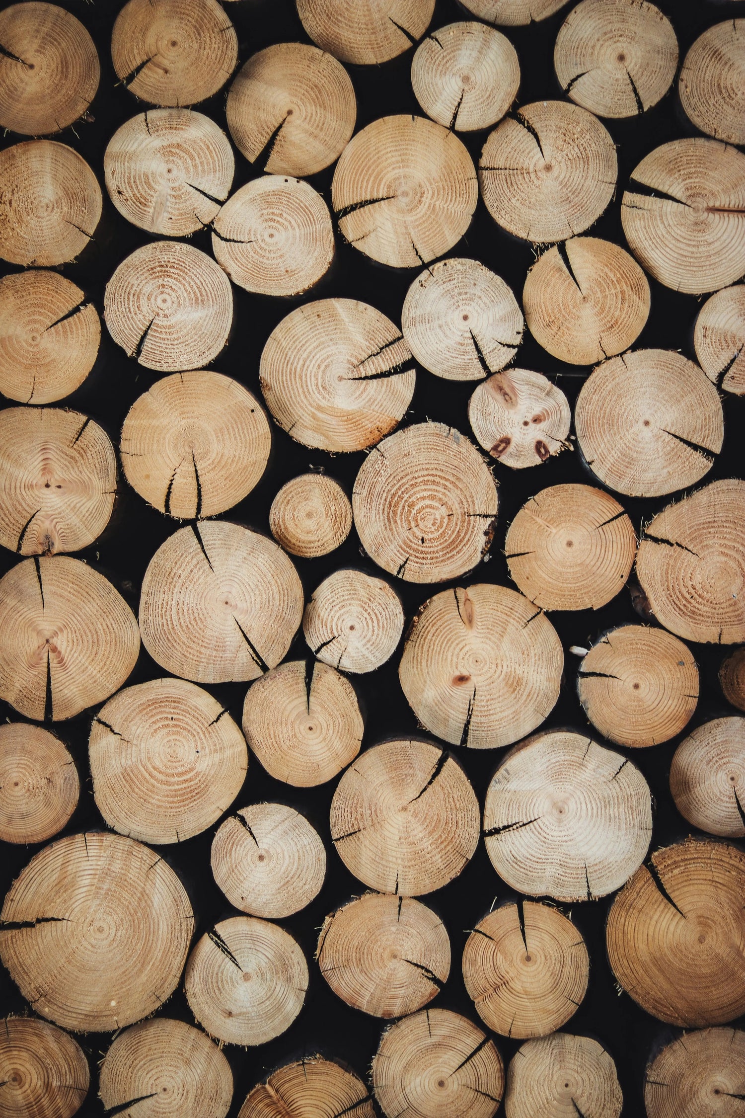 Bois de chauffage : essences, séchage et humidité (guide 2026)