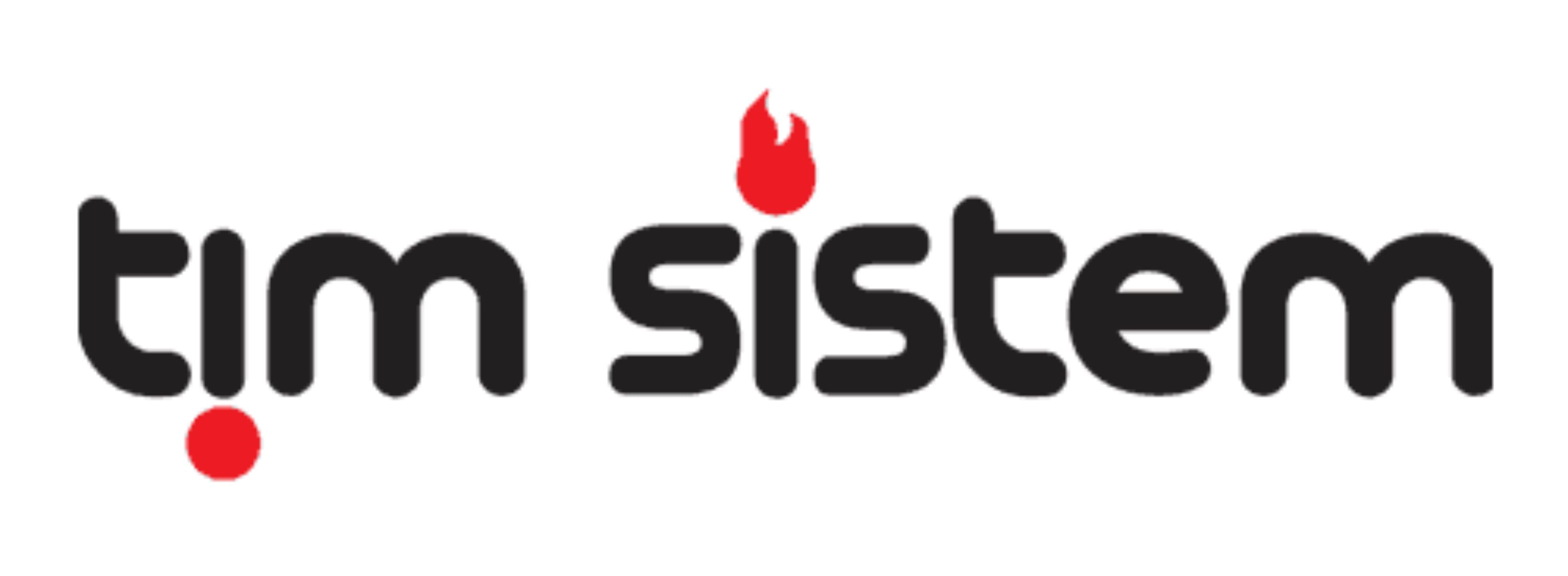 Tim Sistem