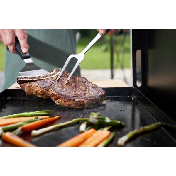 Plancha ORIGINAL Gaz 260 Duo Edition Le Marquier